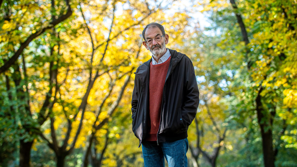 Lányi András